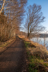 sunny winter day in the forest by the lake