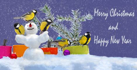 Lively tits sit on snowman and feed from colored feeders near Christmas tree. Holiday Christmas and...