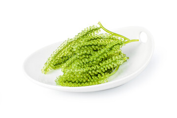 Closeup sea grapes seaweed (Caulerpa Lentillifera, green caviar) in ceramic plate isolated on white...