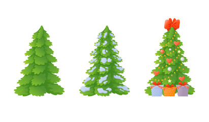 Set of Christmas trees in cartoon style. Spruce.
