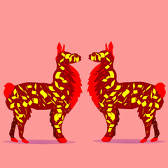 Two llamas