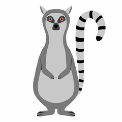 Childish illustration of lemur isolated on white background. Hand-drawn standing lemur in cartoon style.