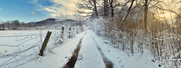 Ośnieżona droga do parku - Jaworze zimą - obrazy, fototapety, plakaty
