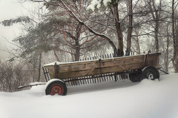 Wóz ciągnik w lesie zimą - w drodze na Matyskę © fotograbska