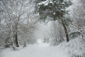 Las zimą w górach - droga na Matyskę