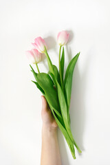 Pink tulips in a woman's hand Birthday. Happy women's day. Mother's Day. Valentine's Day. Flowers composition romantic. Flat flat, top view, copy space