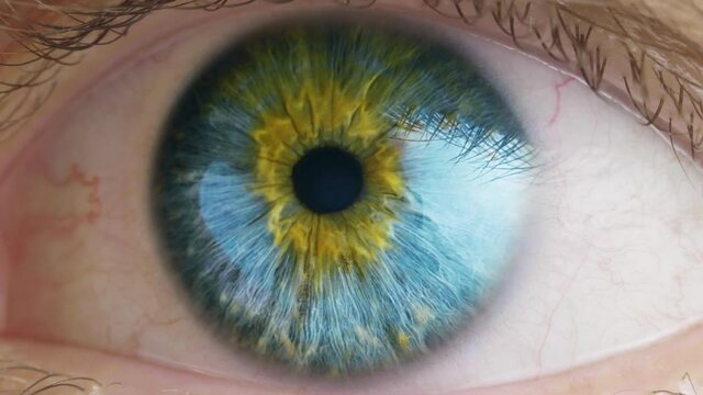 Human eye iris contracting. Extreme close up.