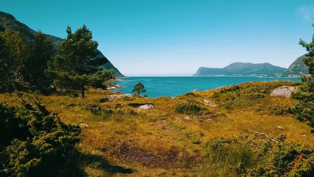 Slow flight over the green meadow, over the mountain path, down towards the sea. A lot of grass, clear, azure water and sunny weather. The sea and mountains in the background. Norway 2020.