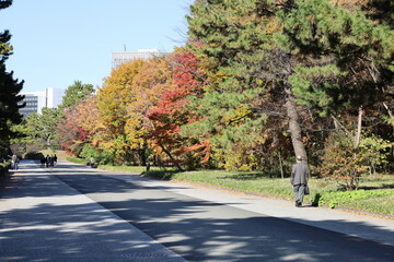秋の皇居東御苑