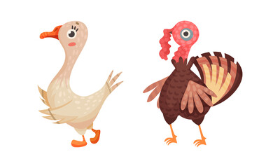 Farm poultry breeding. Goose and turkey set cartoon vector illustration