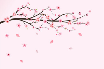 Japanese Cherry blossom vector. Cherry blossom leaves falling. Realistic cherry blossom branch. Pink Sakura flower falling. Sakura branch with pink watercolor flower. Watercolor cherry flower vector