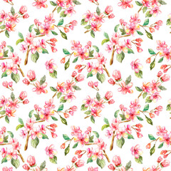 Pink bloom apple flowers watercolor painting seamless pattern on white.