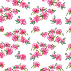 Pink bloom flowers watercolor painting seamless pattern on white.
