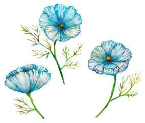 Set with blue delicate watercolor flowers isolated on white.