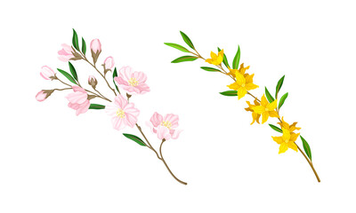 Obraz na płótnie Canvas Spring blooming tree and shrub branches set. Forsythia and cherry tree twigs vector illustration