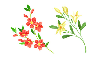 Spring blooming tree branches with yellow and red flowers set vector illustration