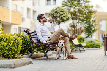 A bearded businessman dressed smart casual is sitting on a bench in a park with his dog and...