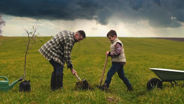 The happy dad and son planting a tree. slow motion