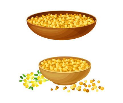 Wooden bowls of mustard seeds set. Natural organic healthy product vector illustration