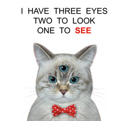 An ashen cat has got third eye. I have three eyes two look one see. White background. Isolated. - 473146025
