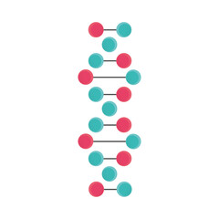 dna molecule structure