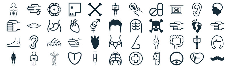 body parts thin line icon set such as pack of simple bones, body part with lines, skin layers with hair follicles, man, foot side view, liver organ inside the abdomen, ear lobe side view icons for