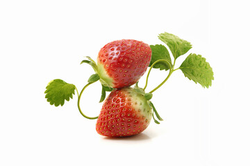 Fresh and sweet delicious strawberries and water droplets  © artpluskr