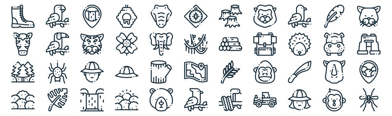 jungle thin line icon set such as pack of simple crocodile, flower, hunter, leaf, trees, tiger, leaf icons for report, presentation, diagram, web design