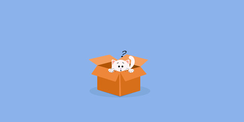 cat in a box
