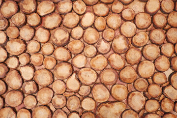 colorful wooden background