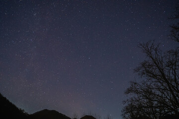 북쪽 밤하늘 별자리, 북극성, 카시오페이아, 작은곰자리