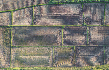 Top ariel view of farmland field with pattern of machine moving in field  fron Thailand