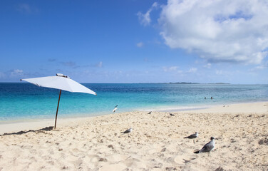 Paradise beach in Nassau, Bahamas