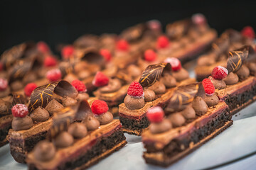 exclusive handmade chocolate dessert, product photo for confectioneries