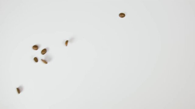 The coffee beans spin rotate quickly fast fly, dispart, splash to the sides with centrifugal coriolis force. Coffee beans twist, create circle.