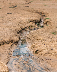 Small creek through the dirty ground