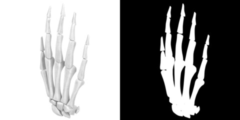 3D rendering illustration of stylized human hand bones anatomy