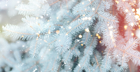 Snowy branch of Christmas tree against the background of falling snow and lights from garlands.