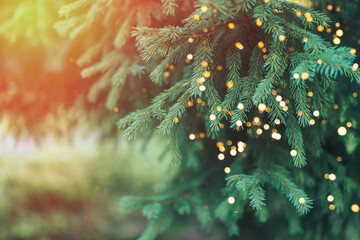 Christmas tree with sunshine and lights from garlands.
