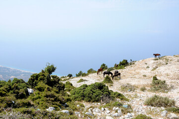 Der Llogara-Pass Albanien