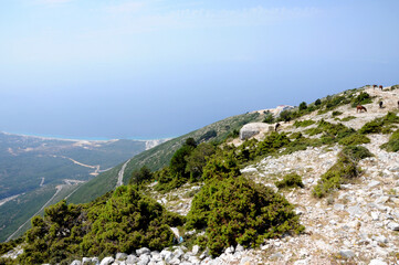 Auf dem Weg zum Llogara-Pass 