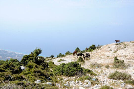 Der Llogara-Pass Albanien