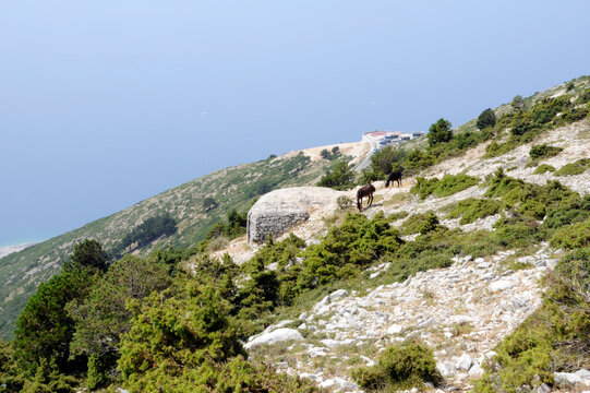 Bunker am Llogara-Pass 