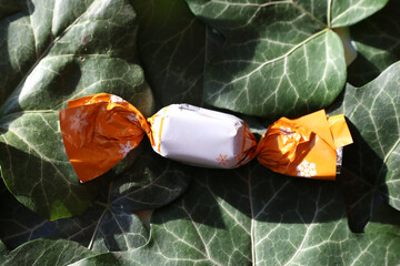 Closeup of one famous hungarian christmas wrapped sweetness fondant