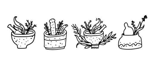 Mortar and pestle set with medicinal herbs vector illustration in outline doodle style © Tsareva.pro