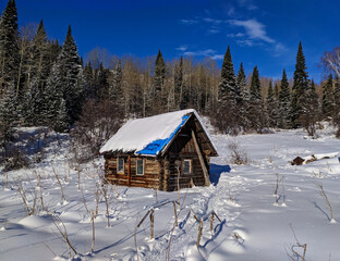 A lonely hut in the winter forest
