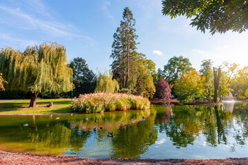 Autumn landscape of Stadtpark in Vienna, Austria