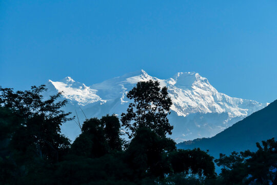 View on Himalayas along Annapurna Circuit Trek, Nepal. There is a dense forest in front. High, snow caped mountains' peaks catching the sunbeams. Serenity and calmness. Barren slopes