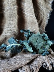 rustic still life with broccoli on a burlap background