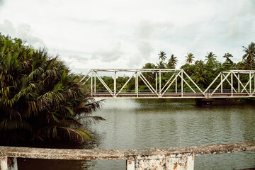 Stalowy most kolejowy na rzece na tle palm.